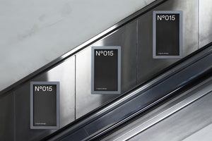 N°015