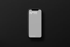 N°111