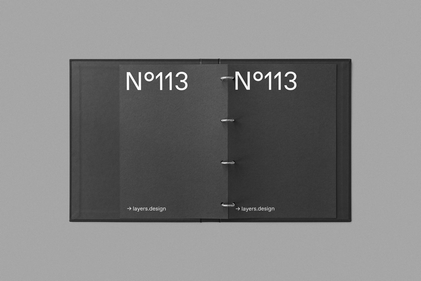 N°113