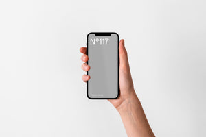 N°117