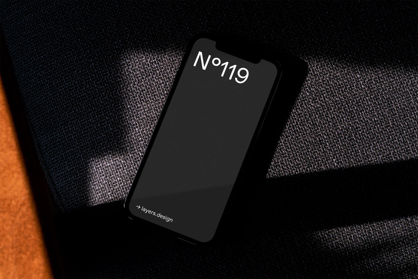N°119