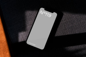 N°119