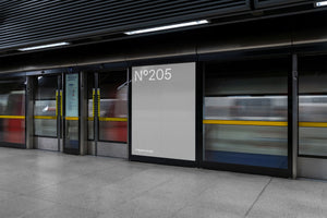 N°205