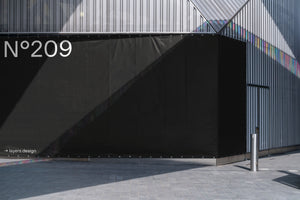 N°209