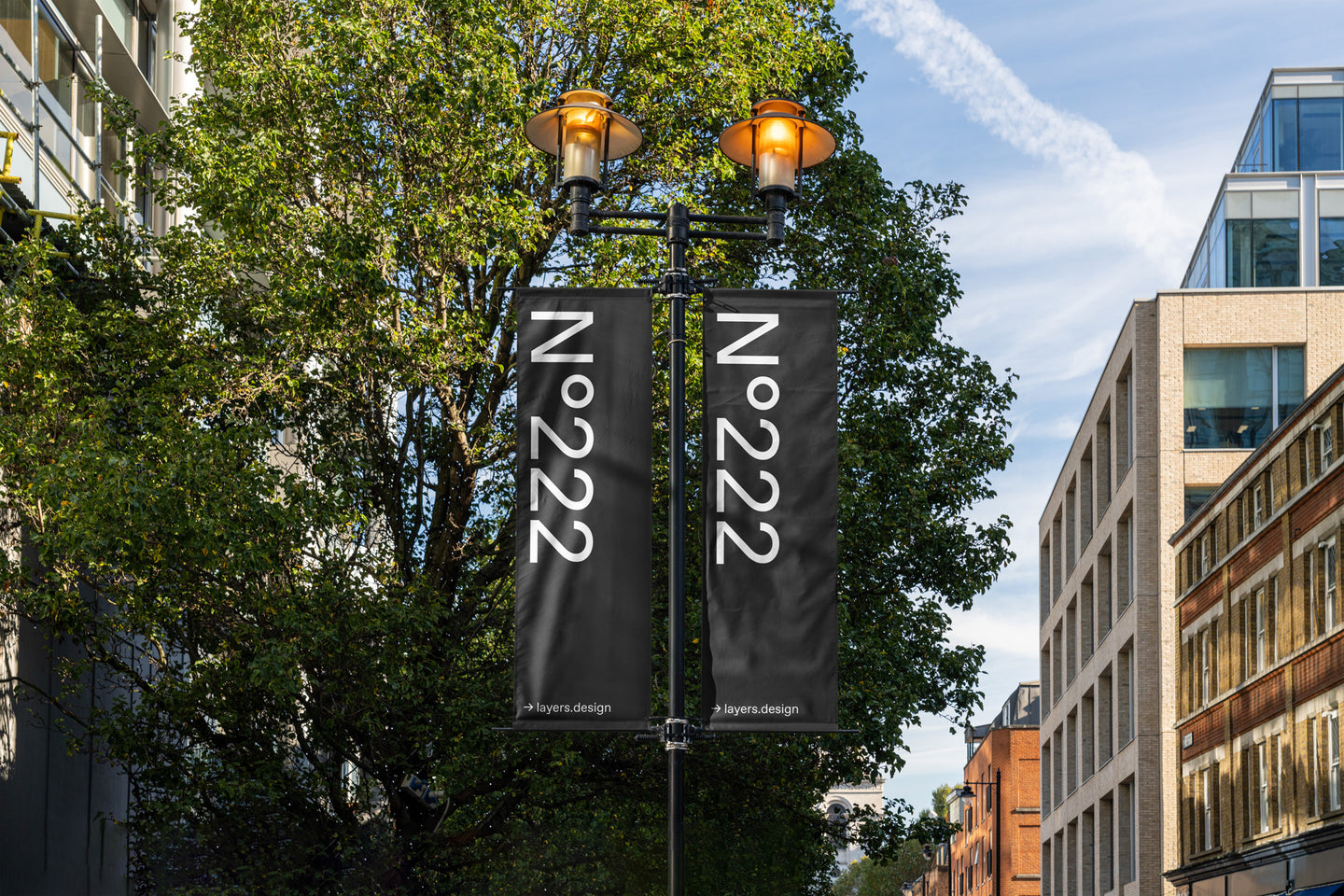N°222