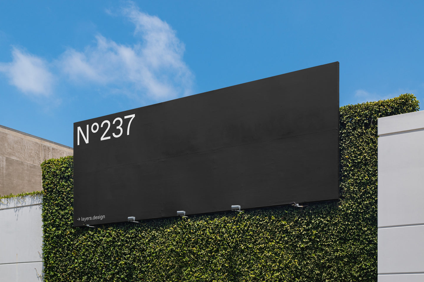 N°237