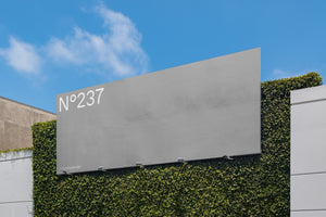N°237