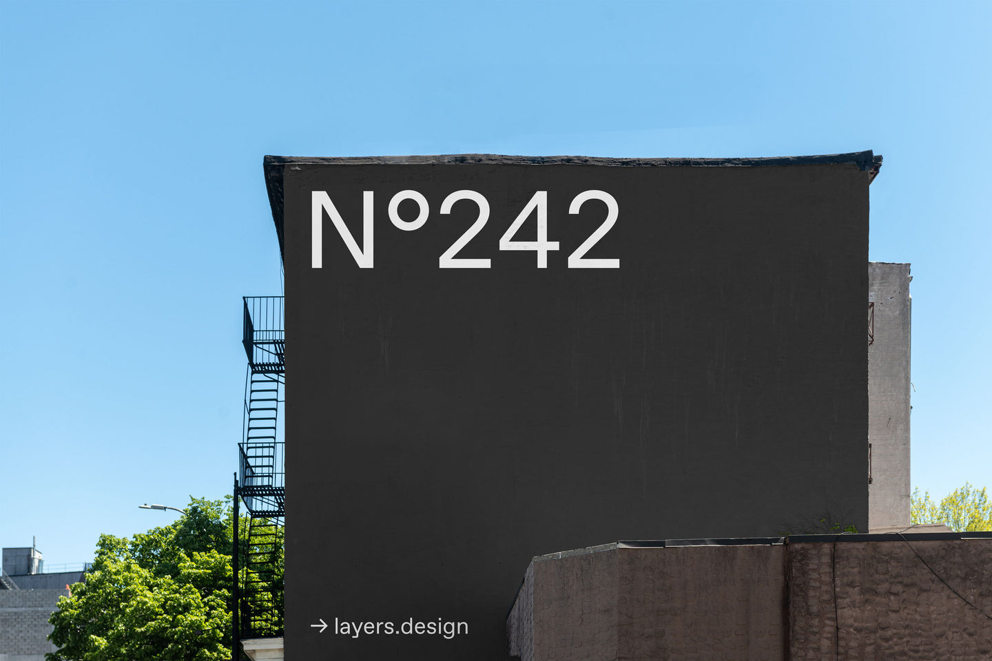 N°242