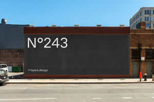 N°243