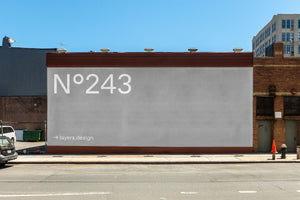 N°243