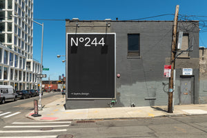 N°244