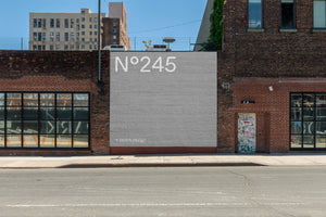 N°245
