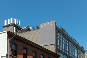 N°246