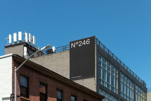 N°246