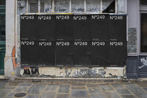 N°249