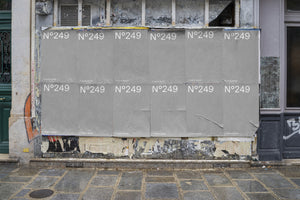N°249