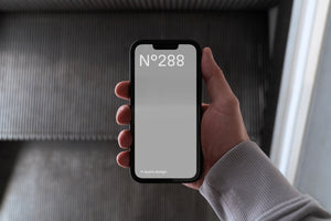 N°288