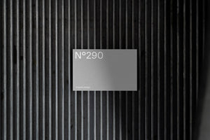 N°290