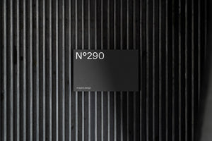 N°290