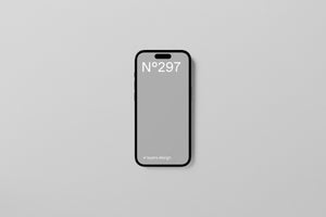 N°297