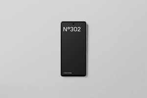 N°302