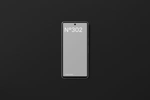 N°302