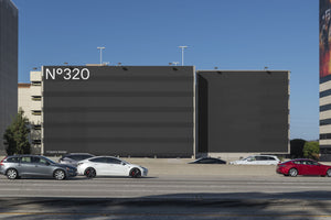 N°320