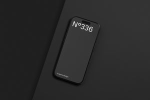N°336