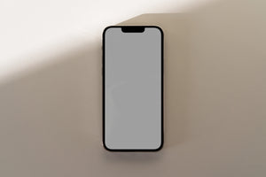 LF Nº010