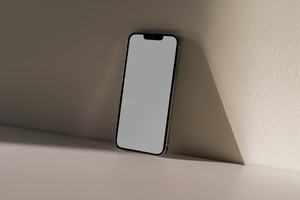LF Nº010