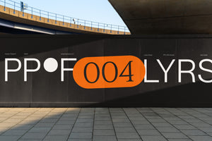 PP®F Nº004