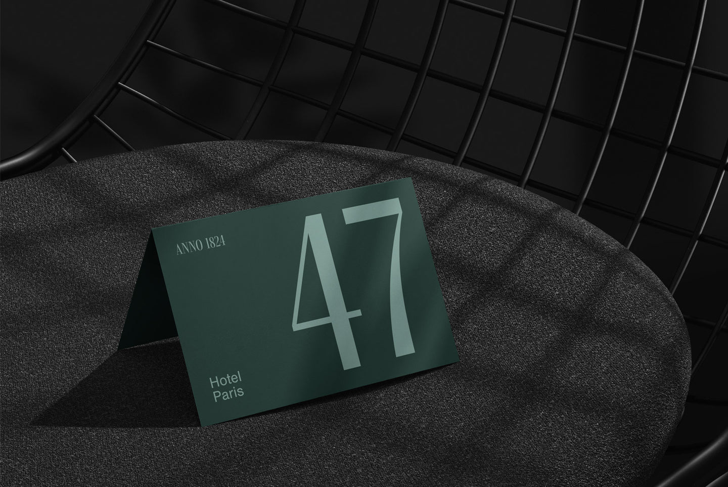 SF Nº004